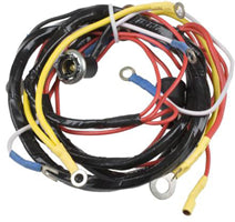 TISCO® Wiring Harness for Ford, 310996