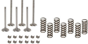 VALVE OVERHAUL KIT