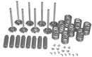 VALVE OVERHAUL KIT