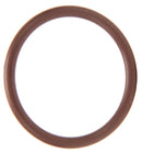 VITON O-RING SEAL FOR TEEJET 124 SERIES STRAINER - 3/4 AND 1" SIZE