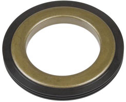 OIL SEAL FOR BEARING KIT FW113FS