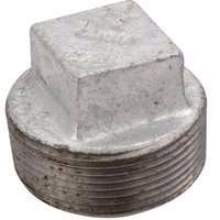 2 INCH MNPT  GALVANIZED PLUG