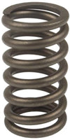 VALVE SPRING