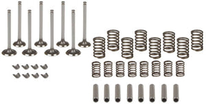 VALVE OVERHAUL KIT