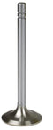 Exhaust Valve for Massey Ferguson, 1019743M1