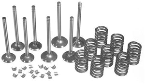 VALVE OVERHAUL KIT